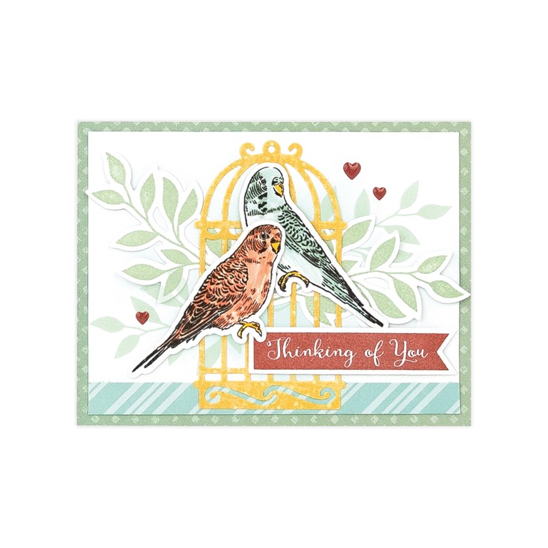 Perched Budgies Stamp + Thin Cuts