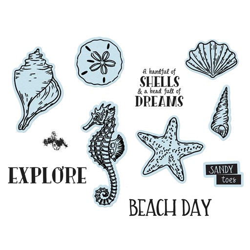 Beach Day Treasures Stamp + Thin Cuts (Z4443)