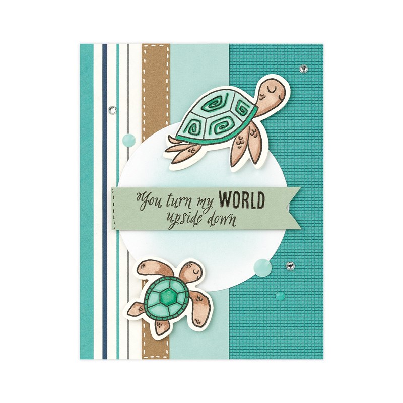 Turtley Awesome Stamp Set
