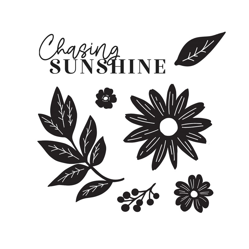 Chasing Sunshine Stamp Set