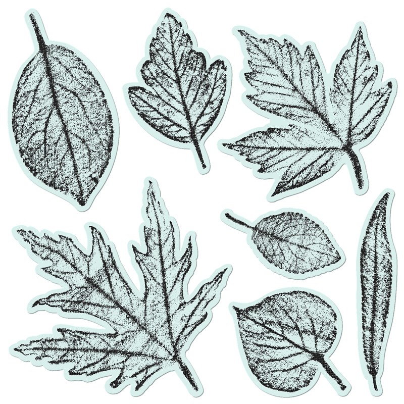 Textured Leaves Stamp + Thin Cuts