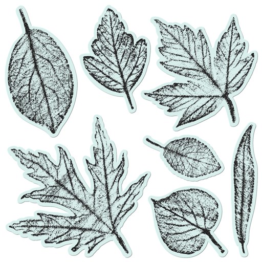 Textured Leaves Stamp + Thin Cuts (Z3754)
