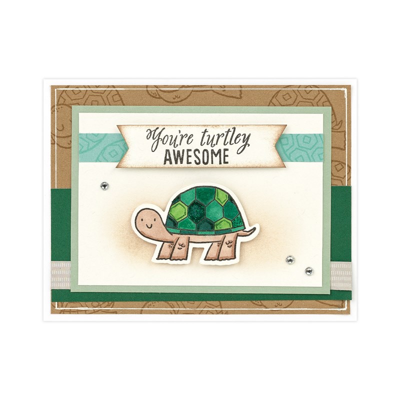 Turtley Awesome Stamp Set