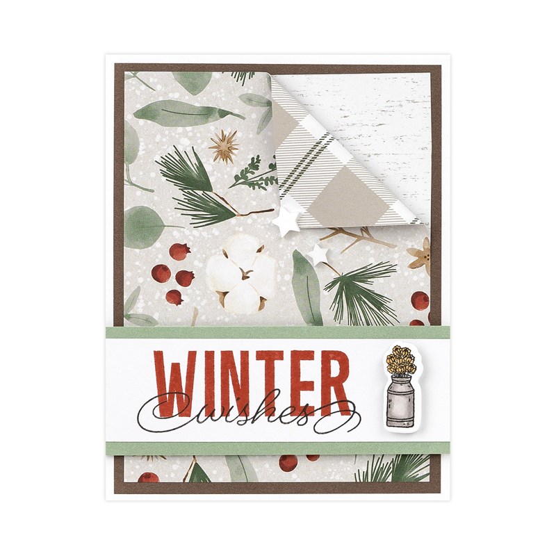 Four Seasons—Winter Cardmaking Workshop Kit (without stamps or Thin Cuts)