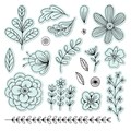 Floral Blooms Stamp + Thin Cuts (Z4666)