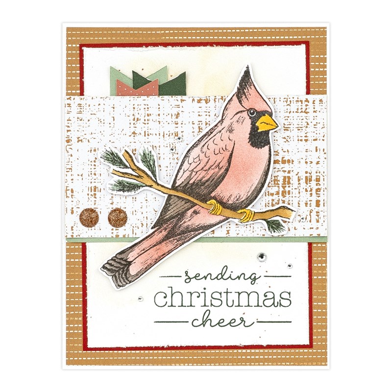 Christmas Cardinal Stamp + Stencils