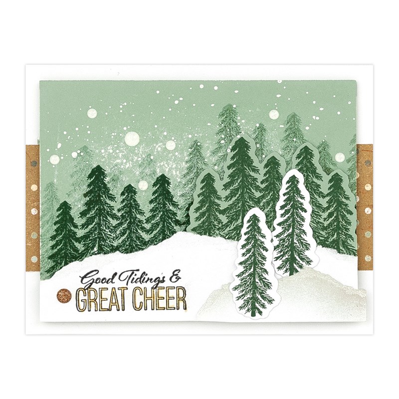 Evergreen—Cardmaking Stamp + Thin Cuts
