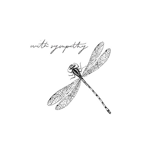 Dragonfly Sympathy (A1261)