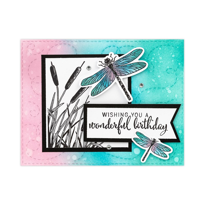 Dragonfly Wishes
