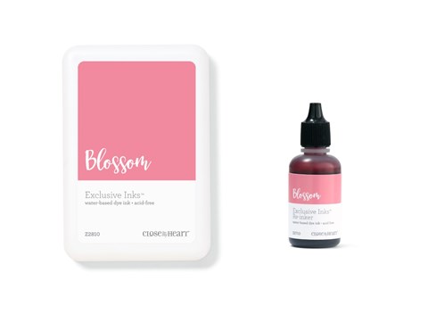 Blossom Exclusive Inks™ Stamp Pad + Re-inker (CC1407)