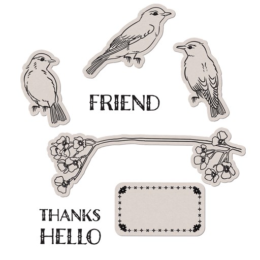 Feathered Friends Stamp + Thin Cuts (Z3978)