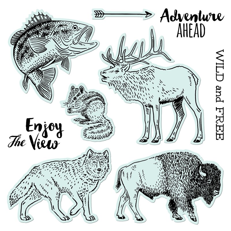Wild and Free Stamp + Thin Cuts