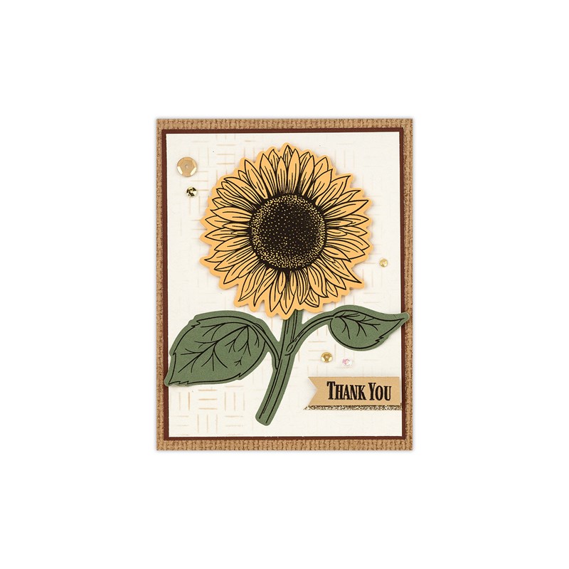 Sunflower Thoughts Stamp + Thin Cuts