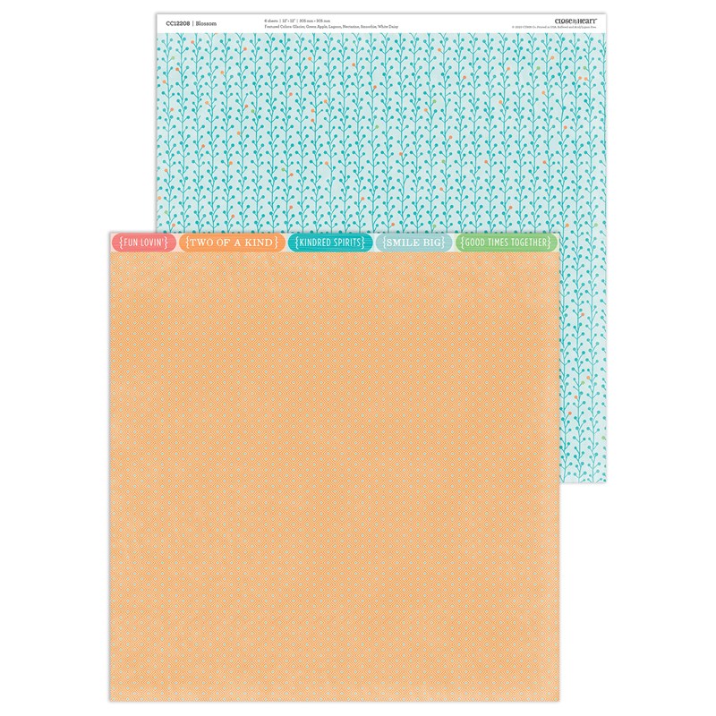 Blossom Paper Packet + Sticker Sheet
