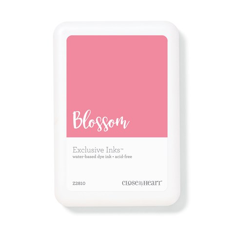 Blossom Exclusive Inks™ Stamp Pad (Z2810)