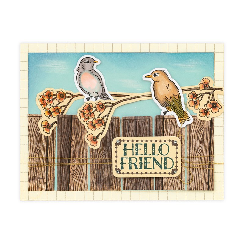 Feathered Friends Stamp + Thin Cuts