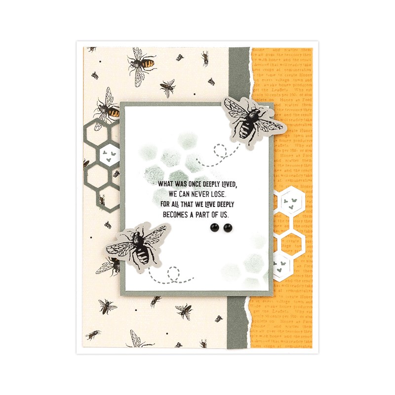 Sweet as Honey Cardmaking Workshop Kit