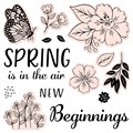 Spring Daisies Scrapbook Stamps & Word Art - Design Cuts